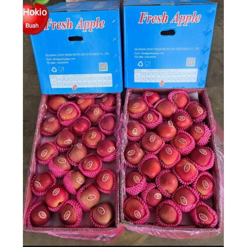 Apel Fuji premium 1 Cartoon berat -+17kg