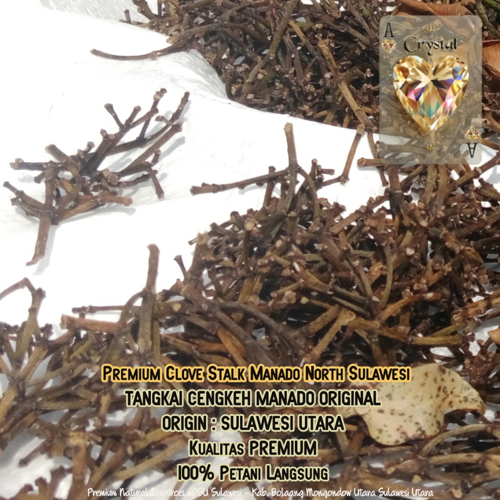 Gagang Cengkeh Manado Asli Sulawesi Utara Tangkai Cengkeh Clove Stem Gagang Peluru Cengkeh Manado Cl