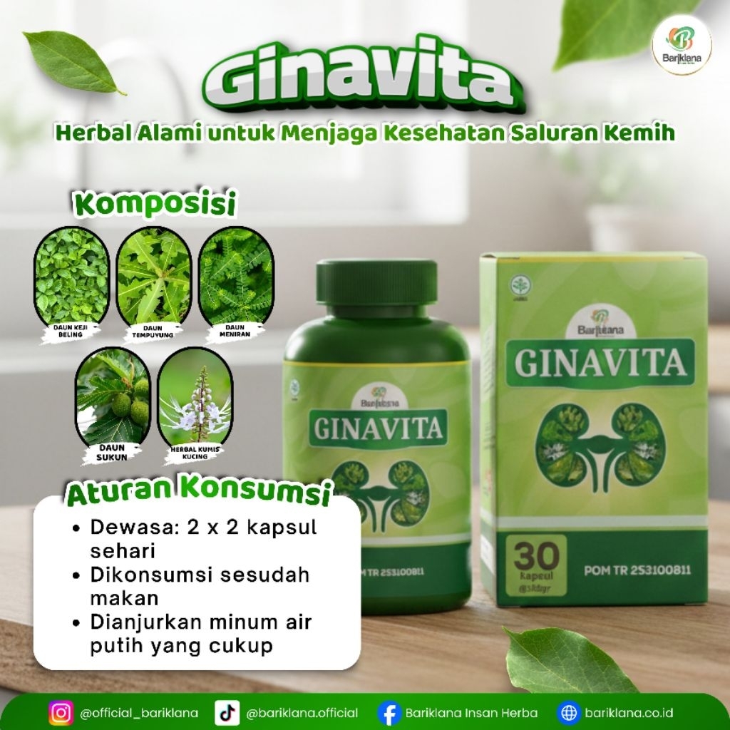 GINAVITA - Ginjal sehat, obat batu ginjal, herbal batu ginjal, herbal untuk ginjal