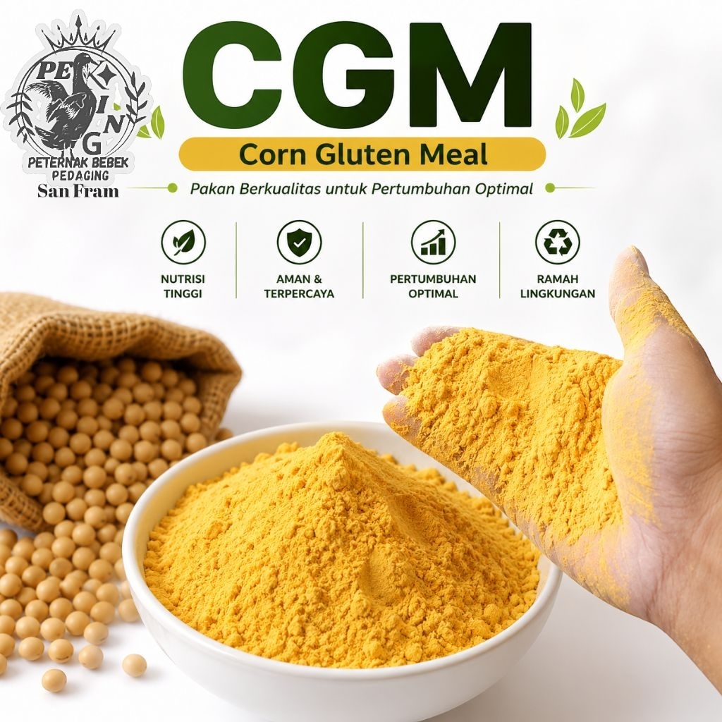 CGM Corn Gluten Meal (Kuning)  Pakan Ternak dengan Protein 60-65% Nutrisi Tinggi Aman Terpercaya Per