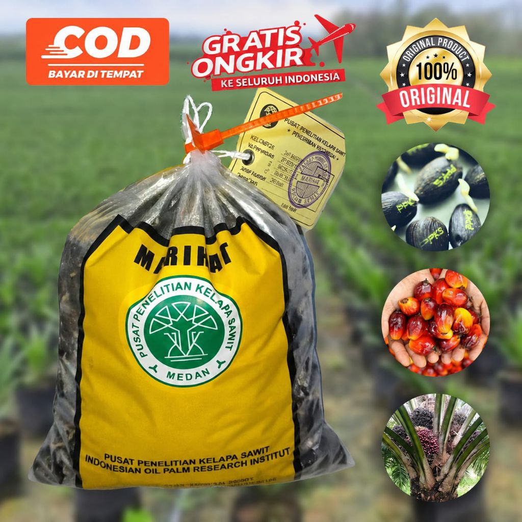 PPKS DXP MARIHAT SUPER UNGGULAN DAN BERSERTIFIKAT RESMI