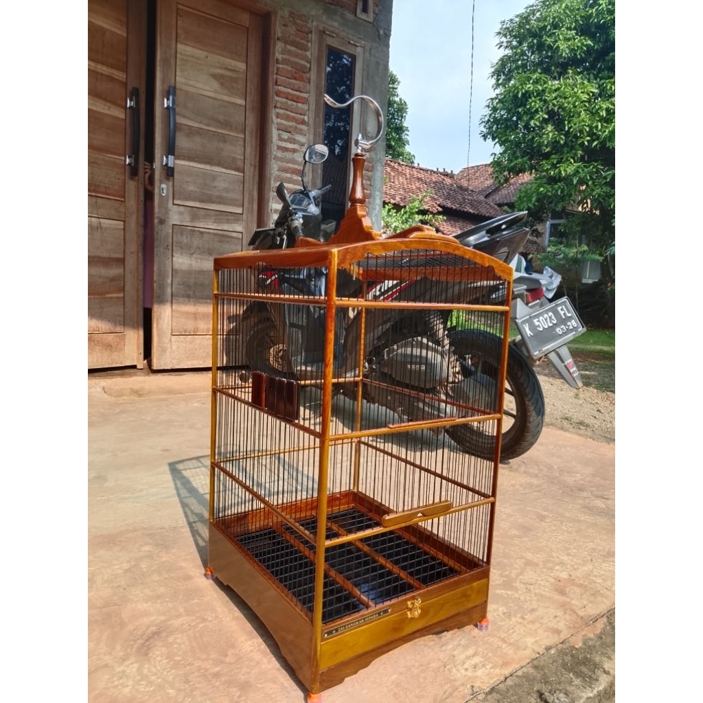 sangkar kenari