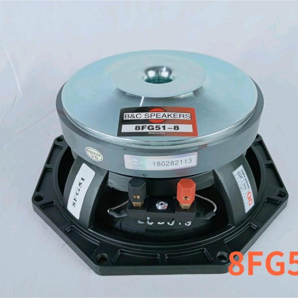 Speaker BNC 8FG51 / B&C 8FG51 / 8 FG51