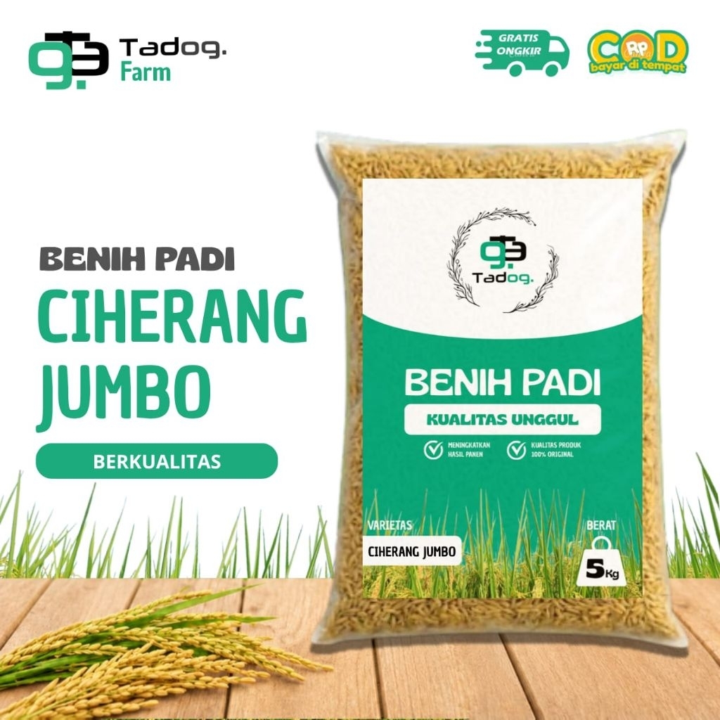 Benih Padi Ciherang Jumbo Super Berkualitas 5kg