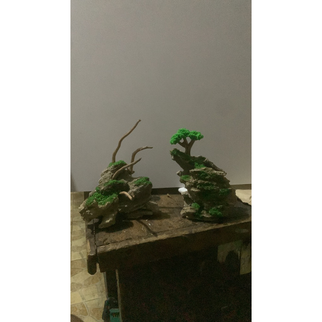 hardscape aquascape