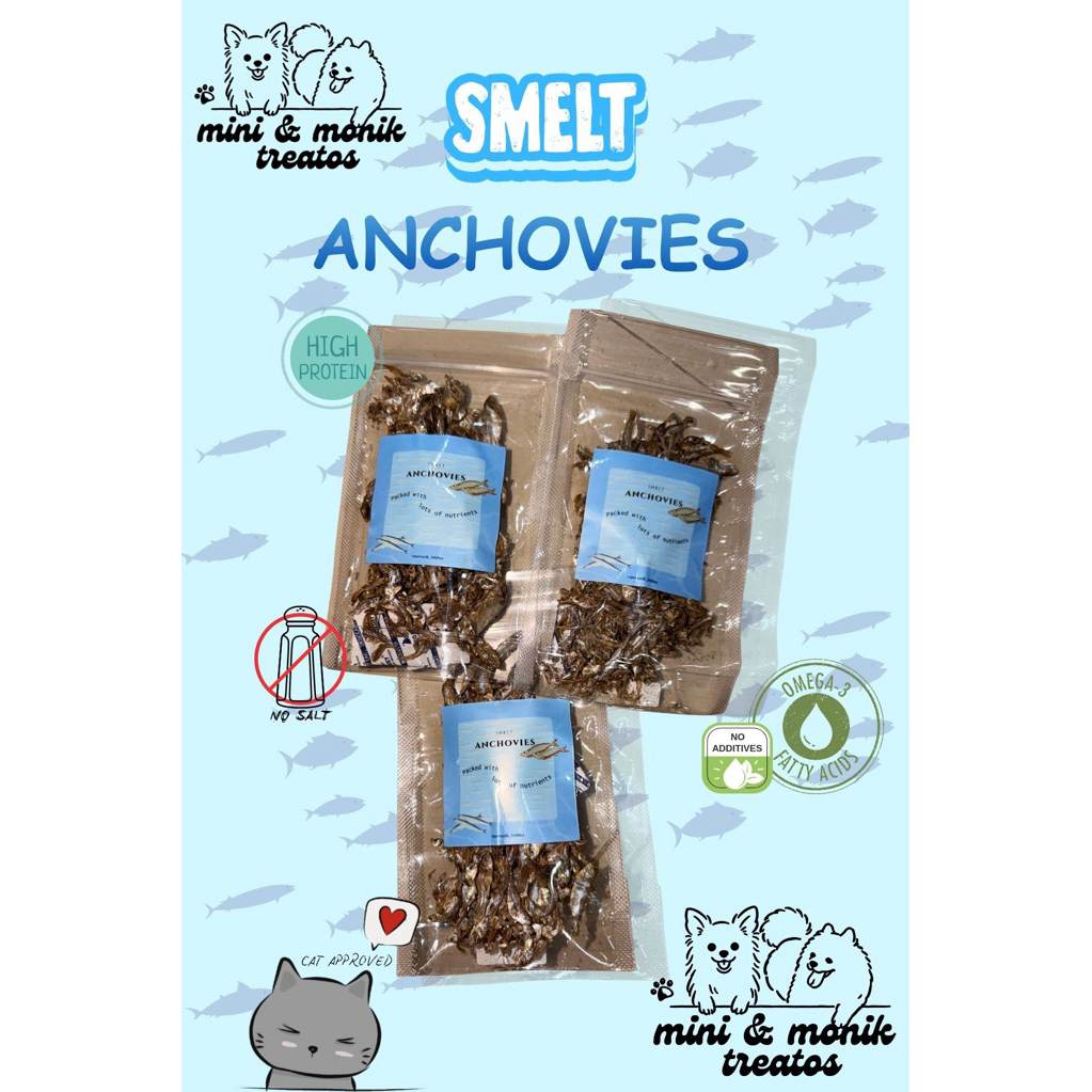 SMELT ANCHOVIES