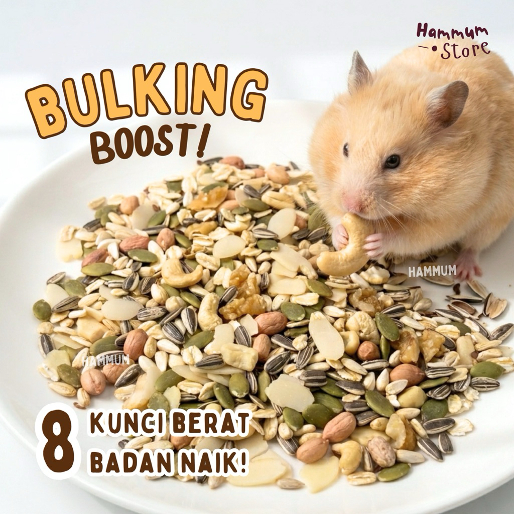 BULKING MIX | Makanan Hamster Untuk Boost Berat Badan | Seedmix Hamster Camilan Sehat | Snack Hamste
