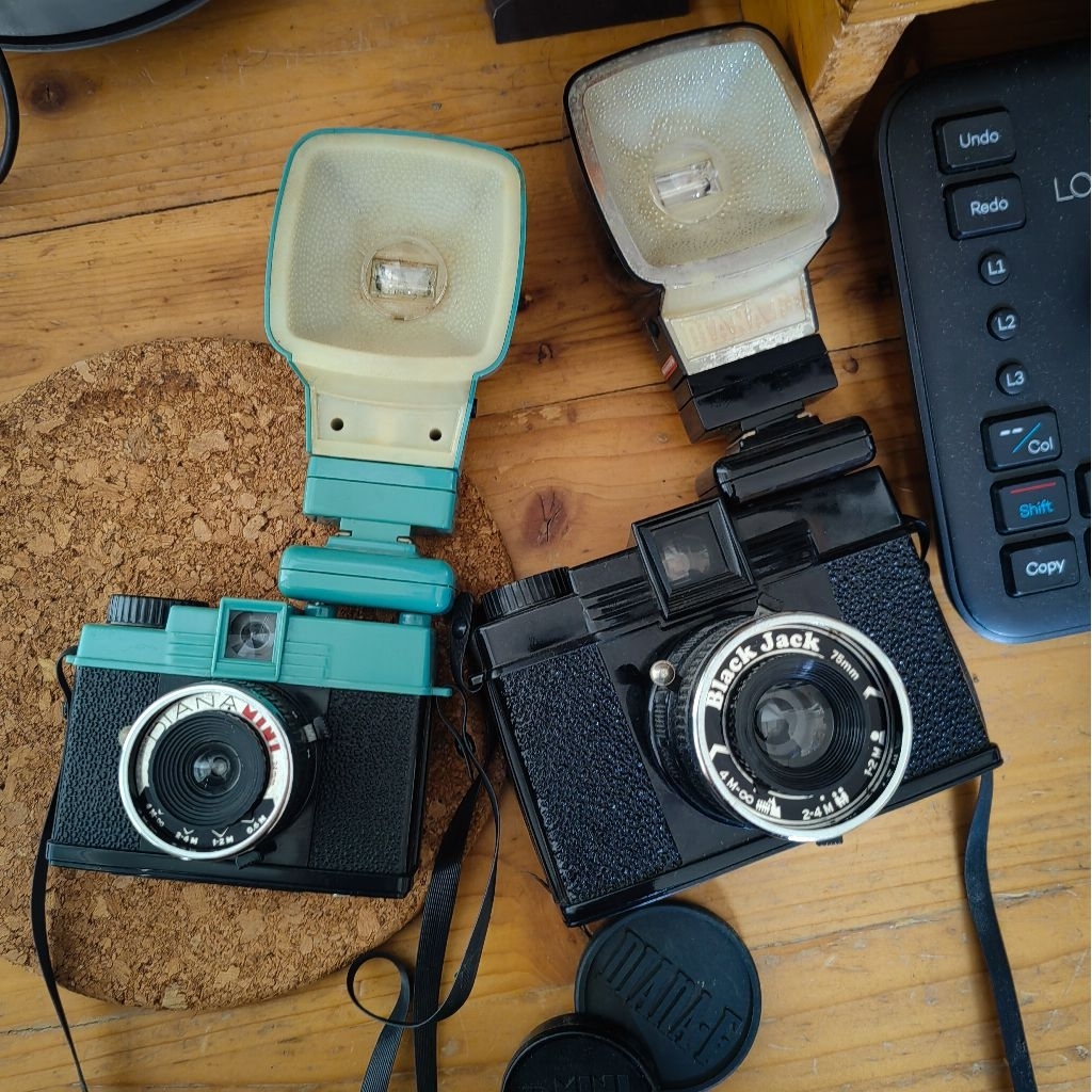 Lomography Diana F+ dan Diana F mini | Good Condition