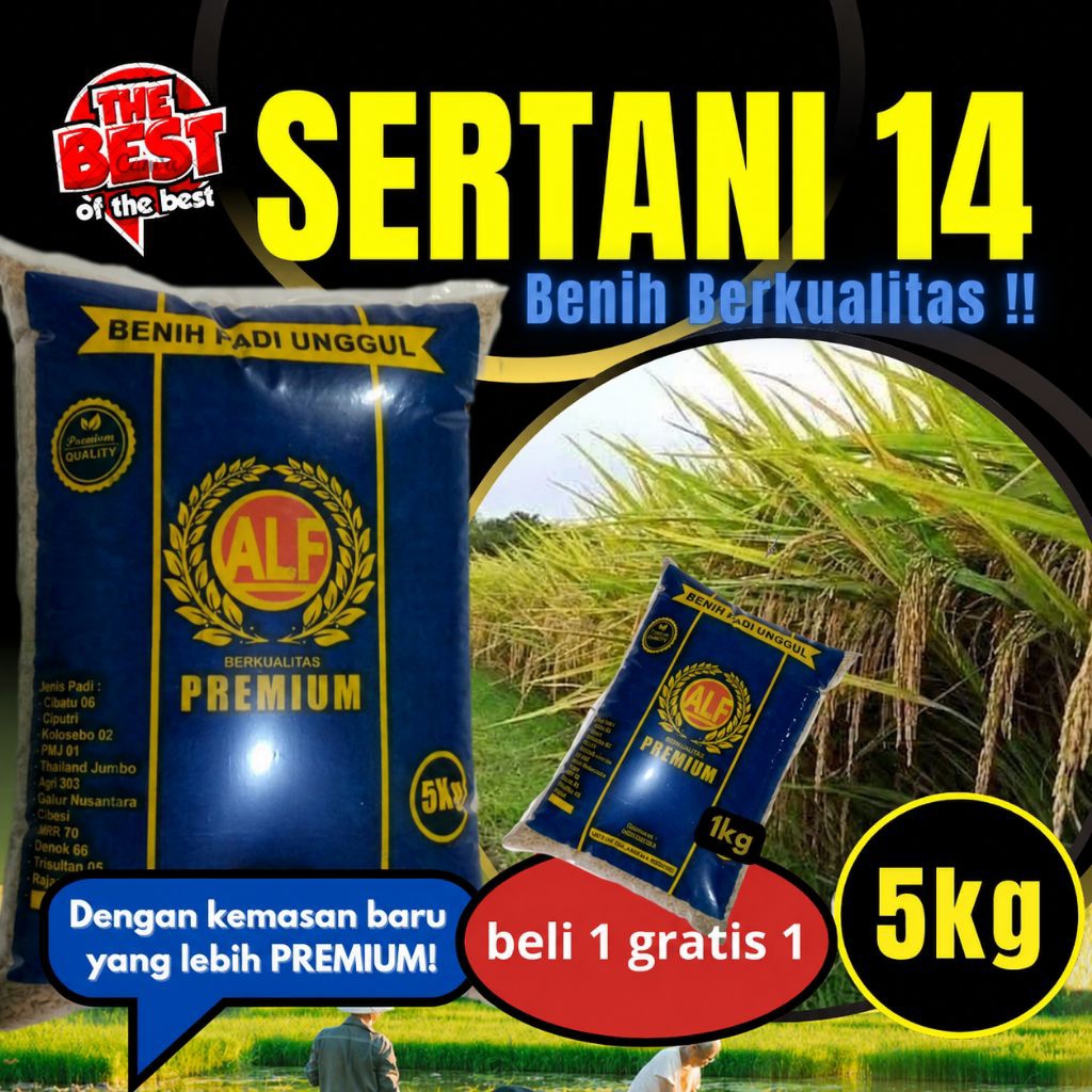 benih padi unggul berkualitas premium SERTANI 14