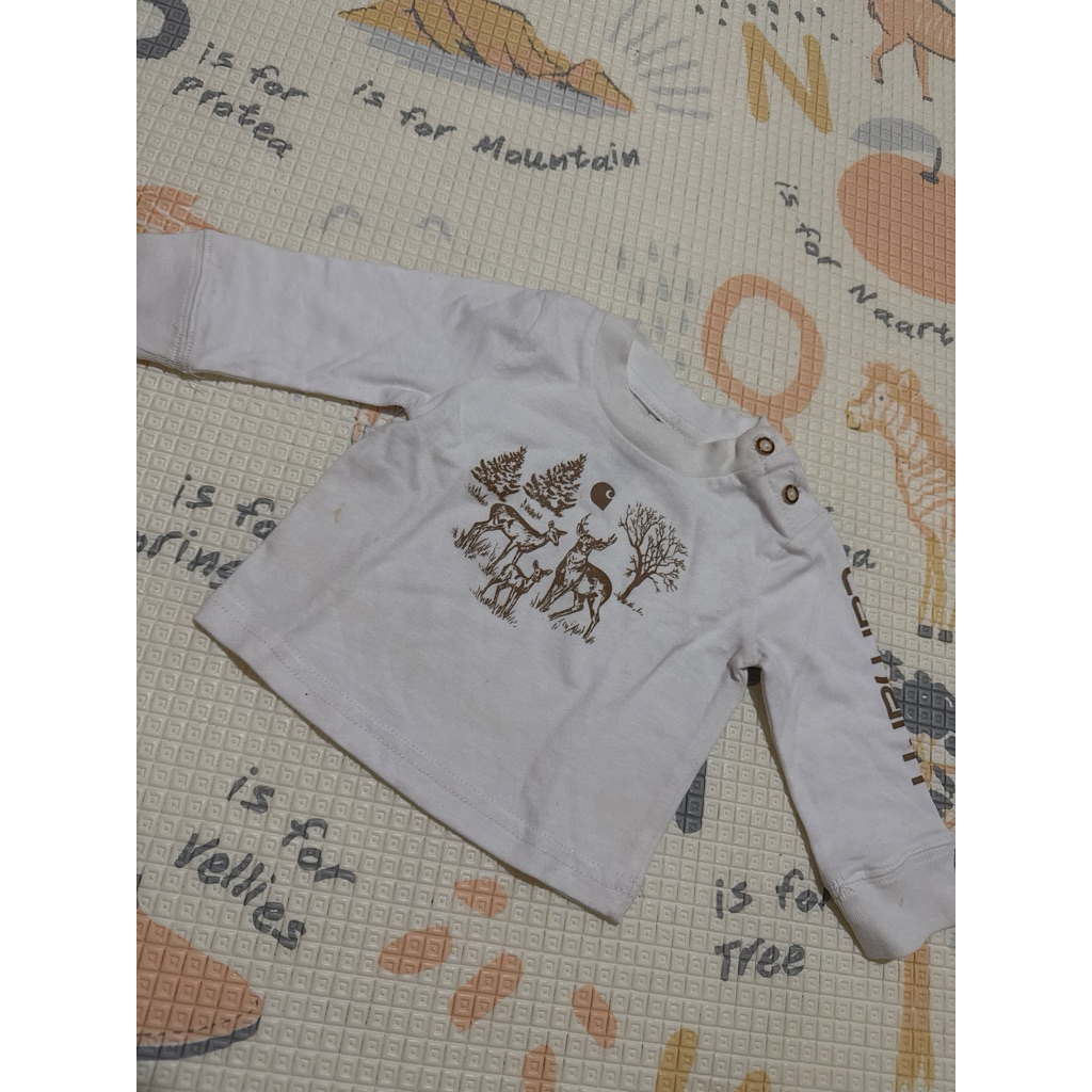 Atasan Panjang Carhart