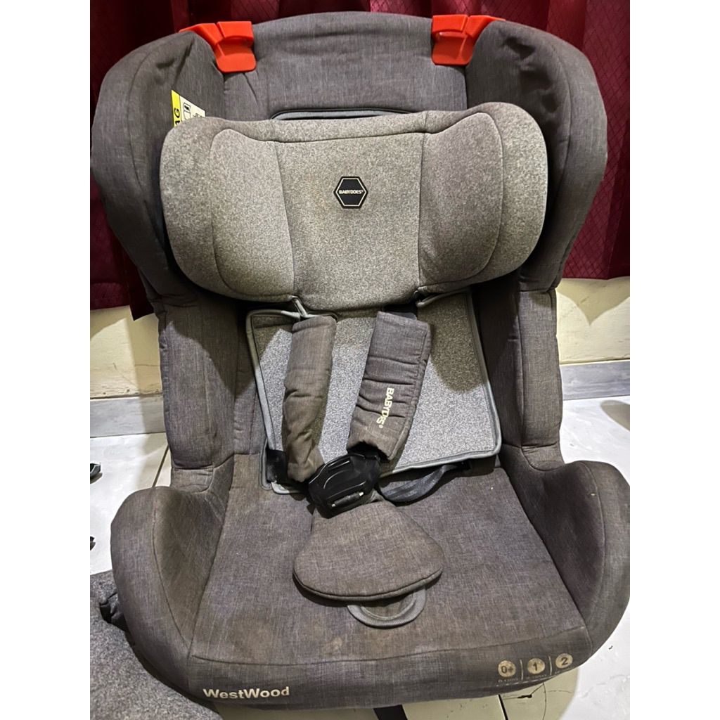 Carseat Babydoes
