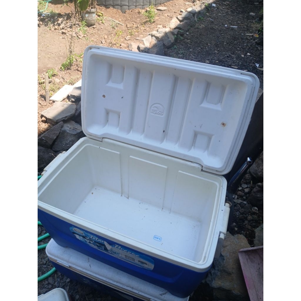 Cooler Box / Container Box IGLOO 45 Liter