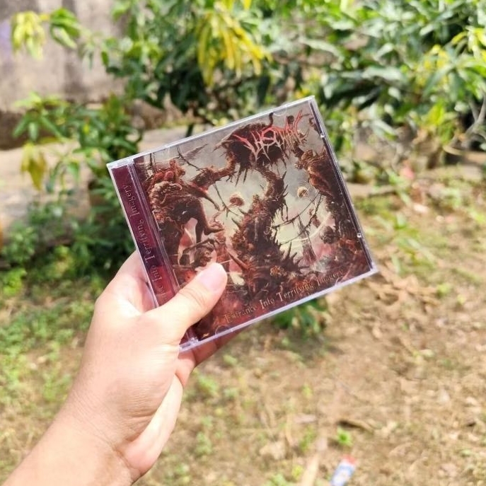 CD VISCRAL - Entrance Into Terrifying Imagery