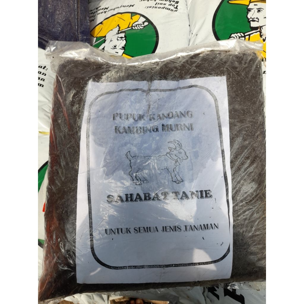 pupuk kandang kambing murni - pupuk kandang kohe