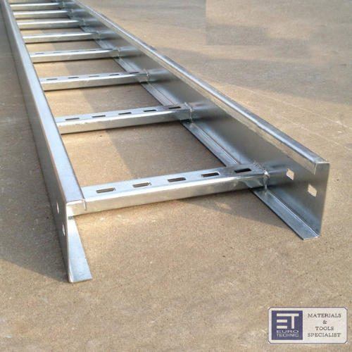 Ladder Tray 300 x 100 mm Tipe U