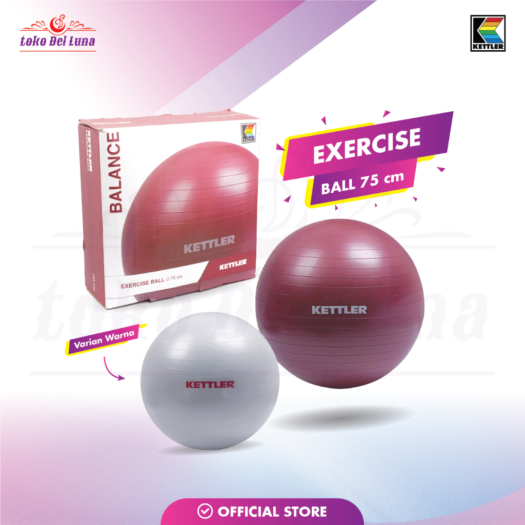 [Preloved] KETTLER Gym Ball 75cm – Silver | Maternity Ball Bola Persiapan Melahirkan Normal