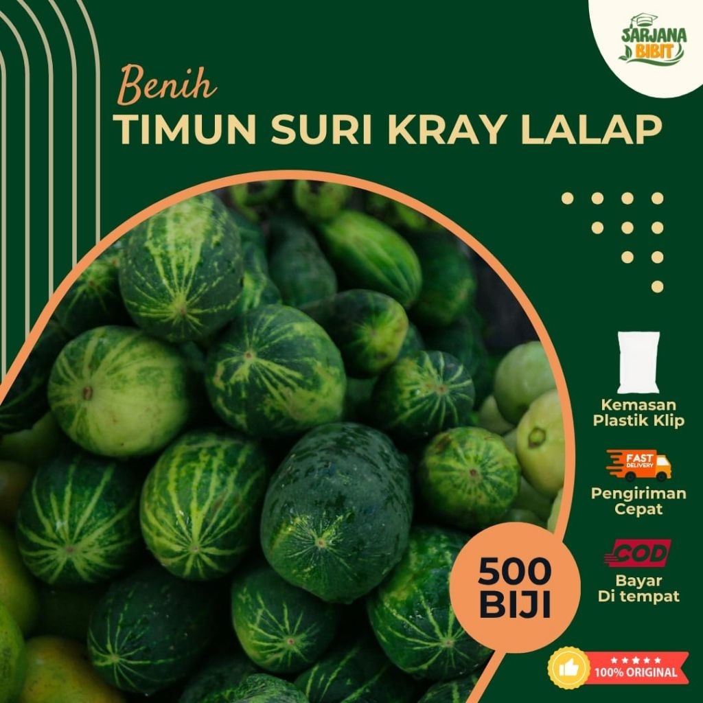 500± BIJI TIMUN SURI KRAY LALAP KUALITAS UNGGUL