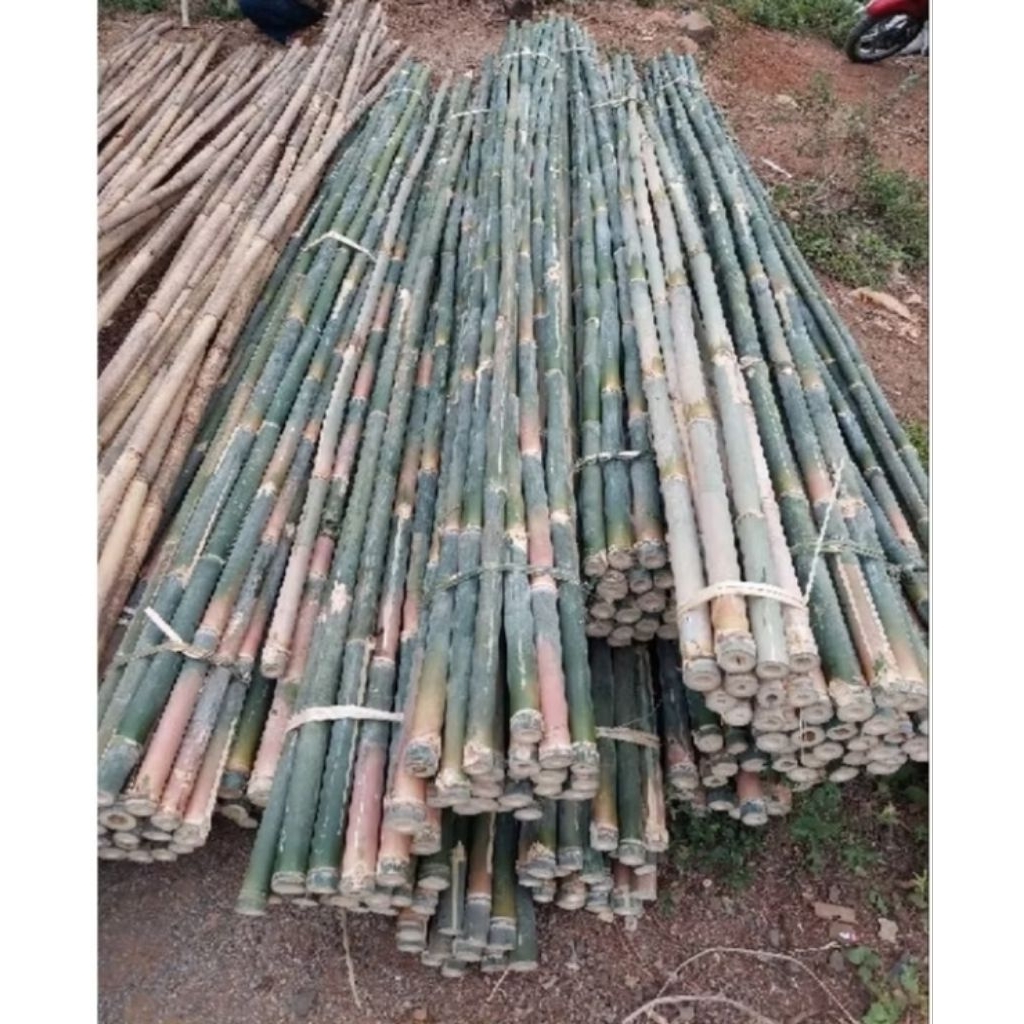 PROMO  Bambu APUS/Tiang Bendera Dekorasi Untuk Depan Rumah
