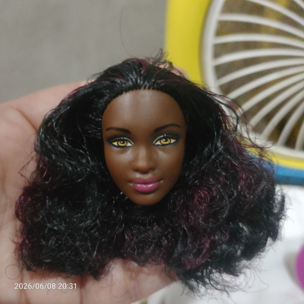 Kepala Barbie Mbili AA fashionistas 25 RARE 2016