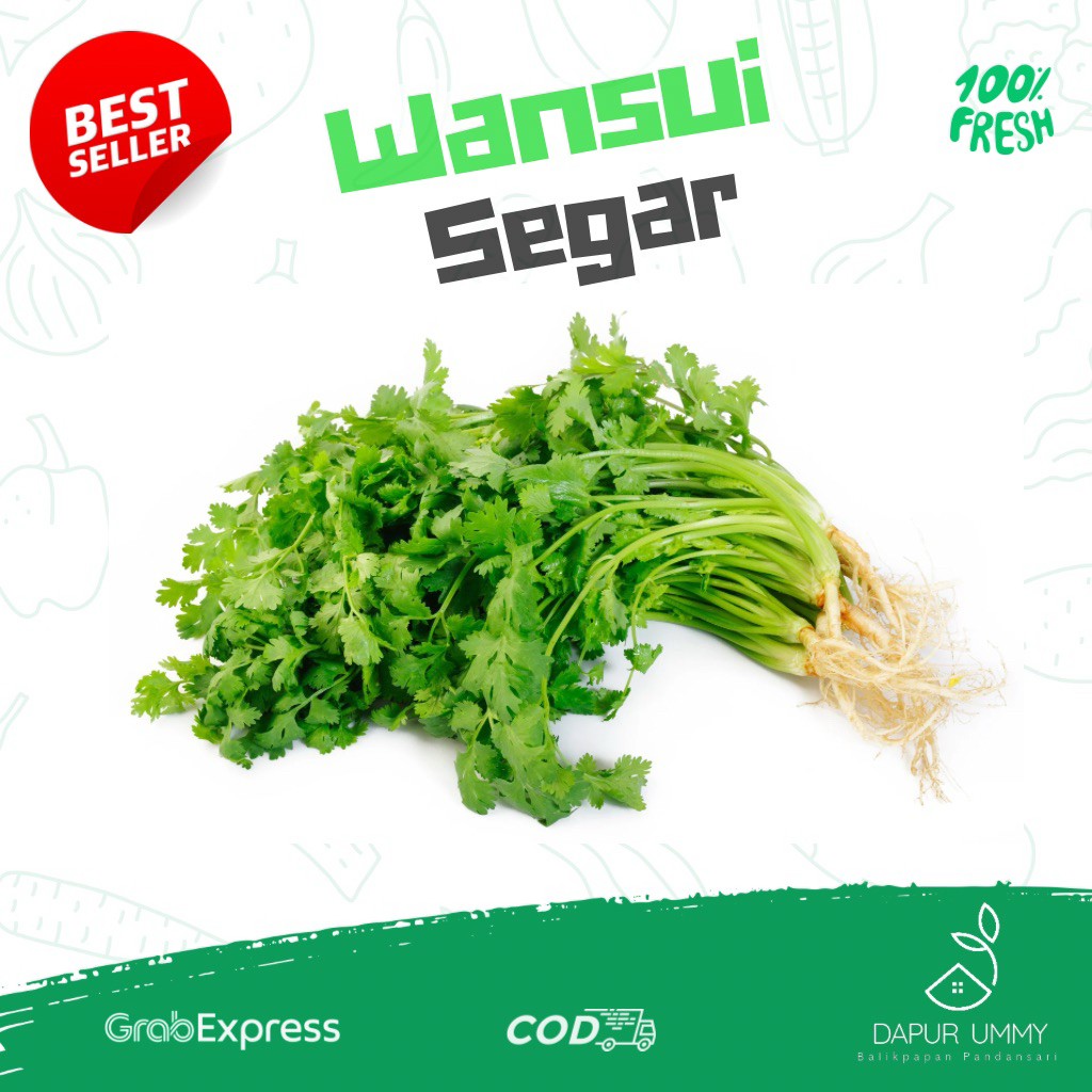 SAYUR FRESH • Wansui daun Ketumbar