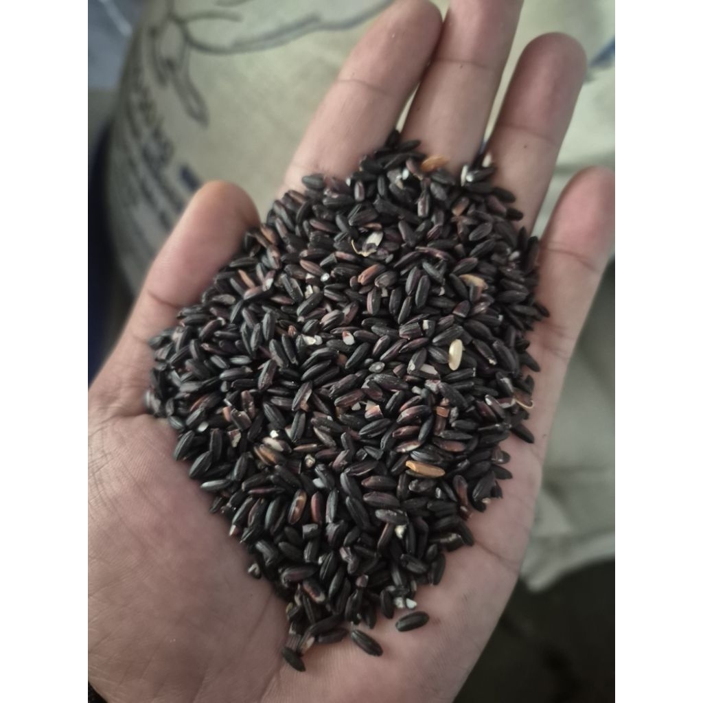 ketan hitam super