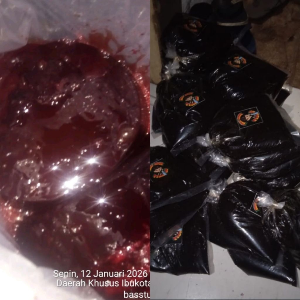 Umpan pancing gt lele paketan brownis 400gram dan darah marus sapi 500 gram