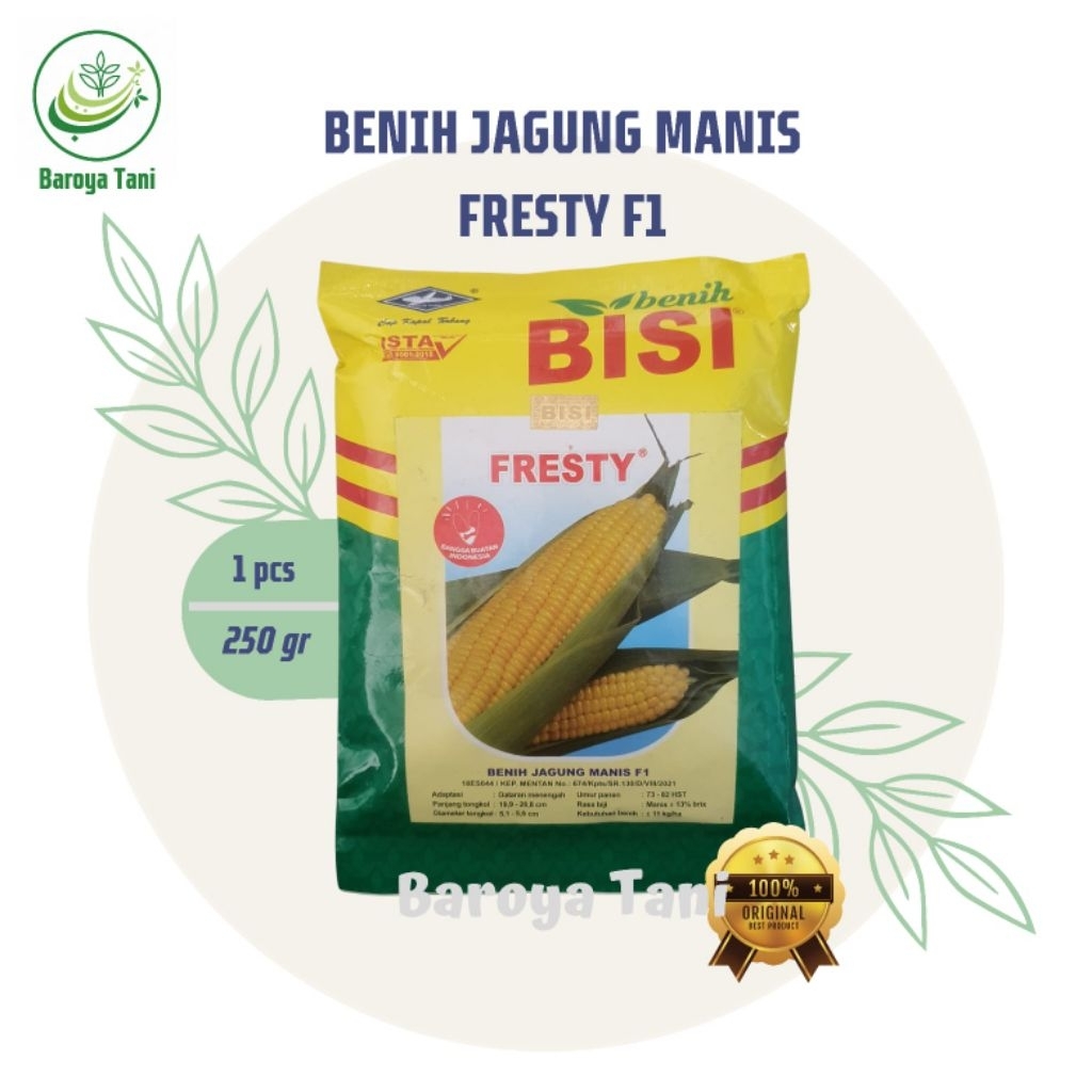 Benih Jagung Manis Hibrida FRESTY 250gr Cap Kapal Terbang - Hasil Panen Tinggi, Tahan Simpan, Klobot