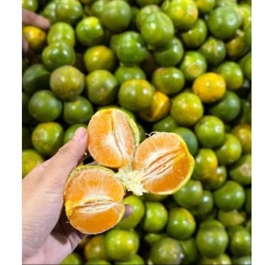 Jeruk Madu Manis Jombang