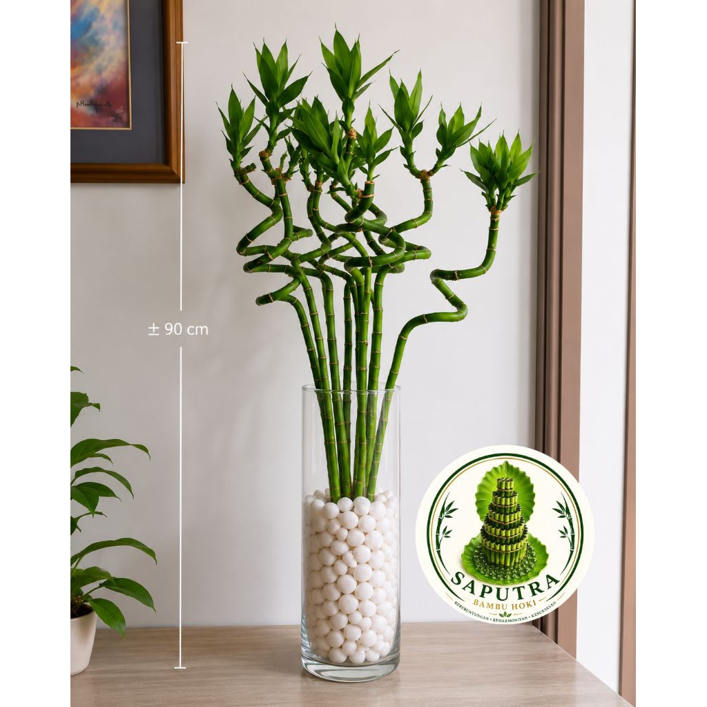 Lucky Bamboo Spiral