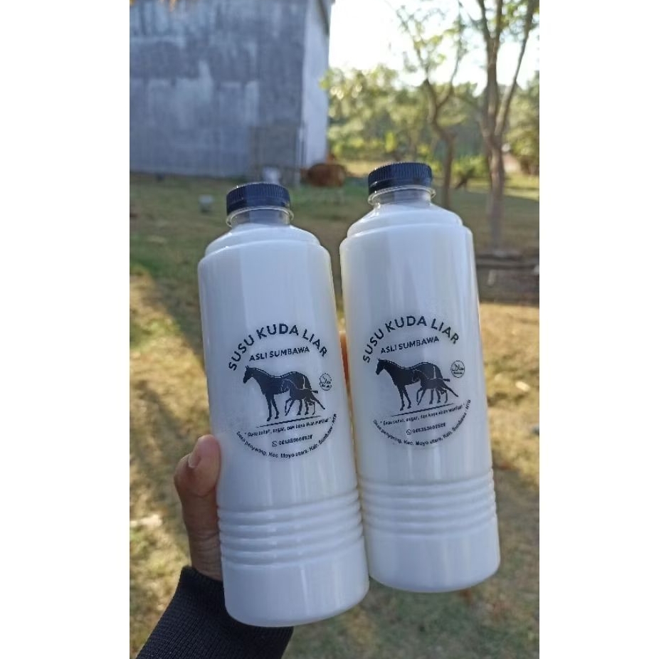 susu kuda liar sumbawa