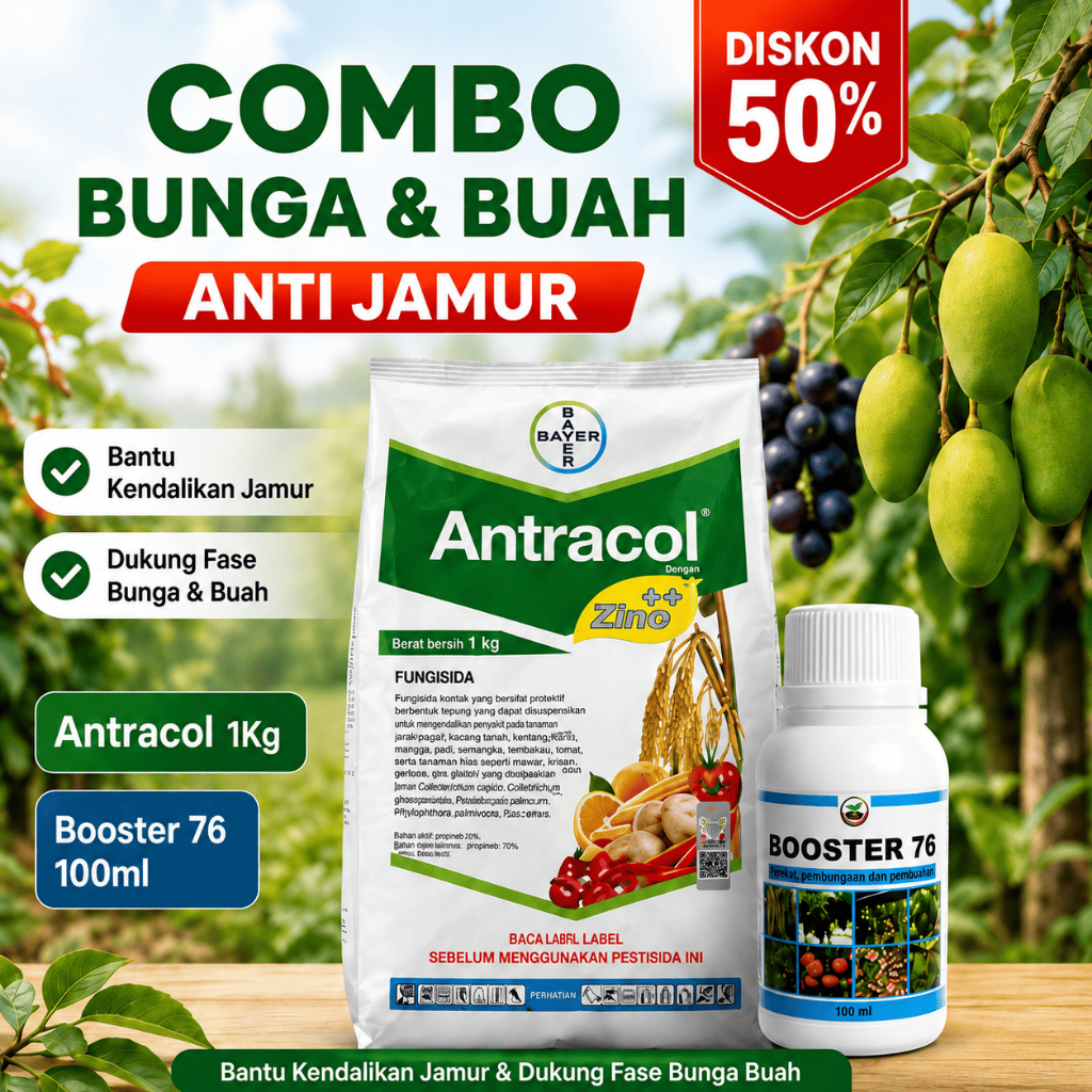 Combo Antracol 1Kg + Booster 76 100ml Fungisida Obat Jamur Tanaman & Pemacu Bunga Buah untuk Cabe To