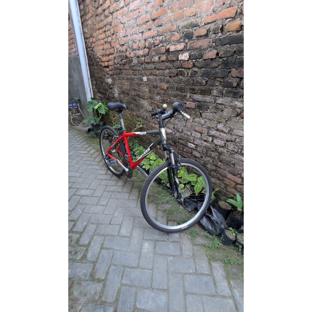 Sepeda MTB Polygon NEPTUNE 26 alloy