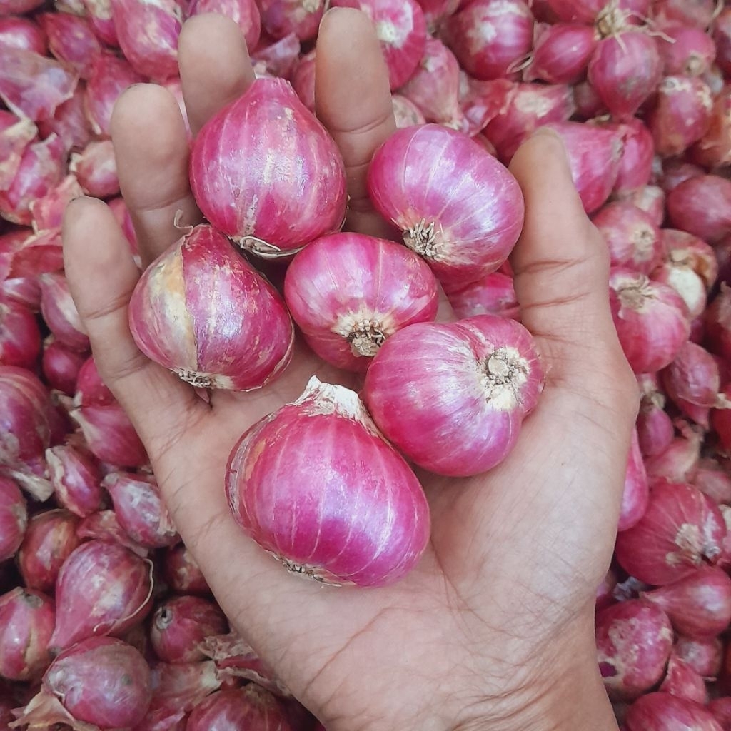 Bawang Merah Probolinggo Super