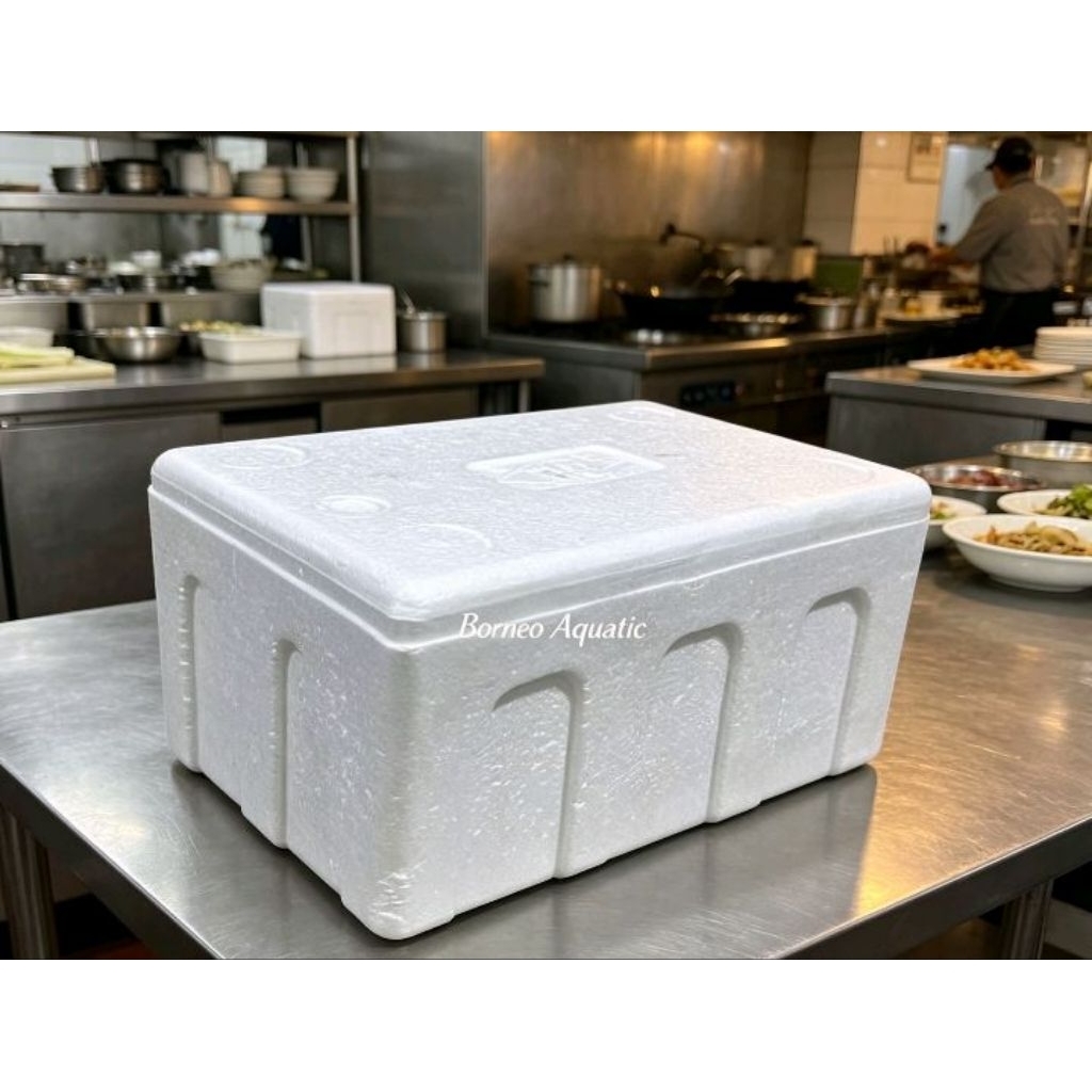 BOX STYROFOAM MINI  // BARU // 30x20x15 // AQUARIUM