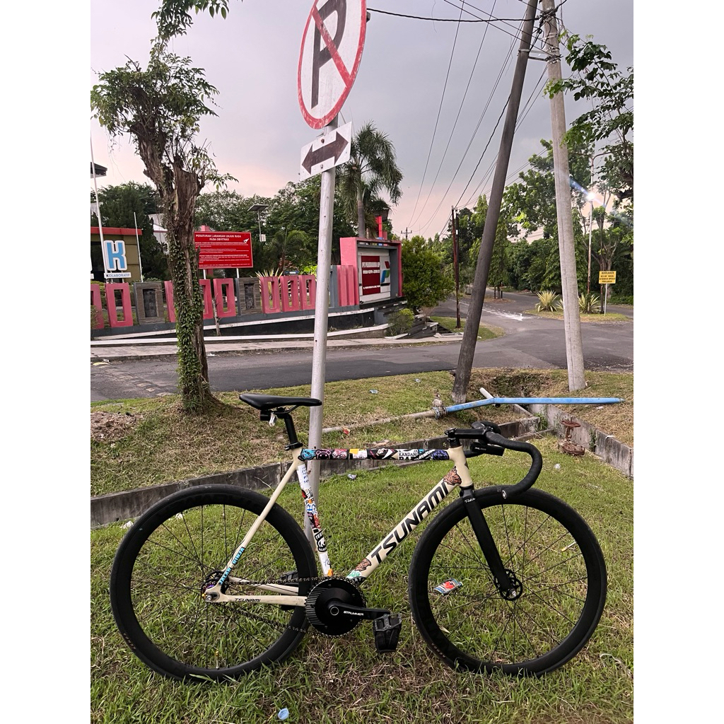 fixie tsunami snm100 strummer fullbike size L original