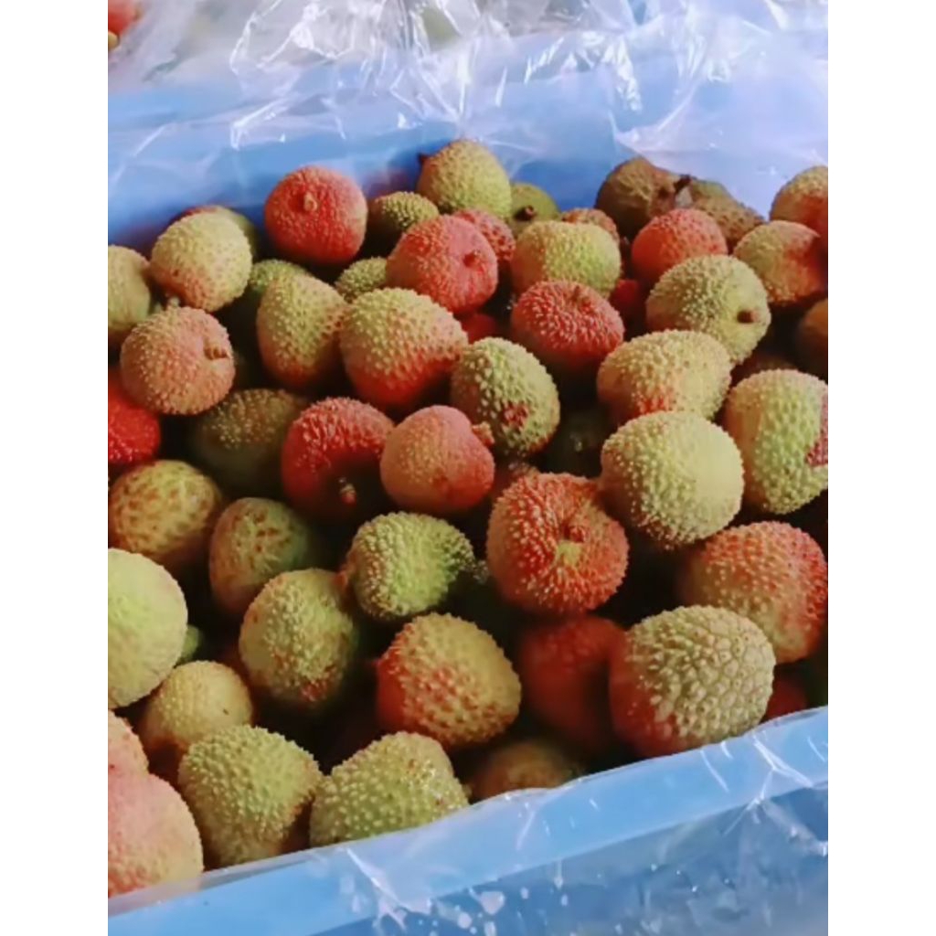 buah leci sidoarjo manis fresh
