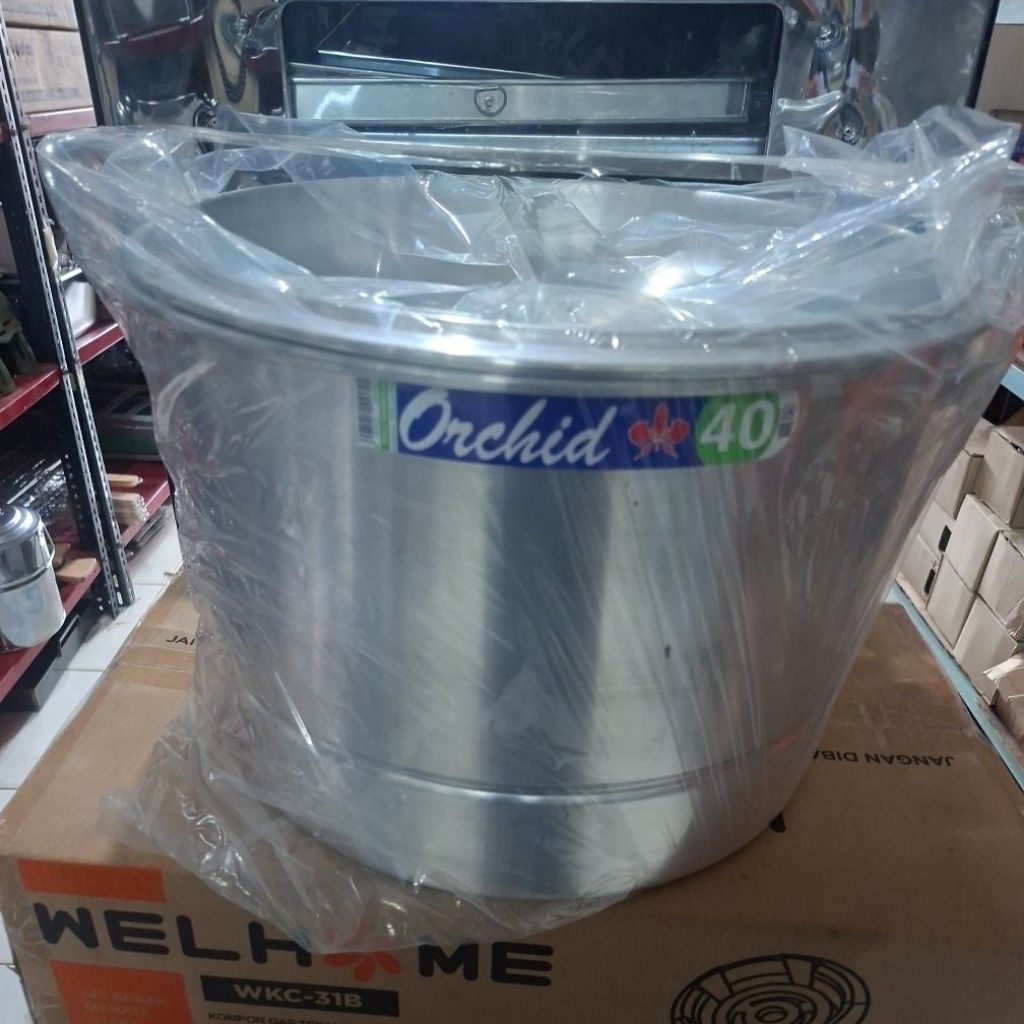 dang dang langseng steamer orchid 40cm