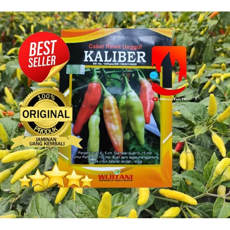 Benih Cabe Rawit Kaliber cabai kaliber 10 Gr kemasan pabrik original