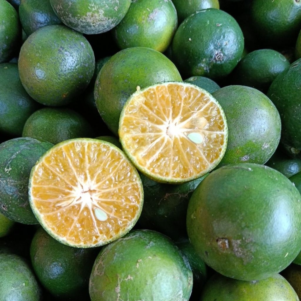 Jeruk peras Segar 2kg - jeruk peras fresh baru petik asli jember semboro