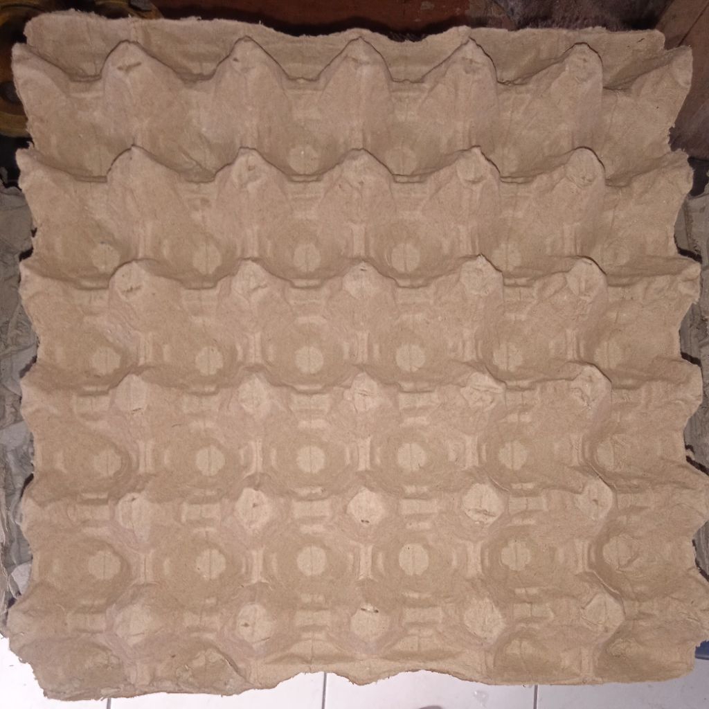 tray telur bekas murah