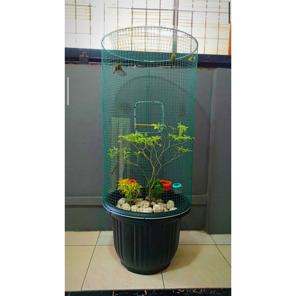 AVIARY MINI POT
