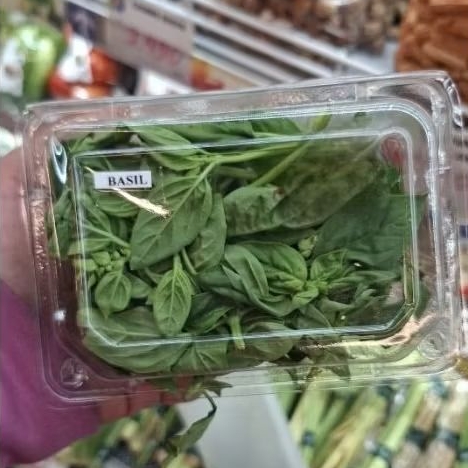 Daun Basil Fresh / Daun Basil Segar / 50 gr
