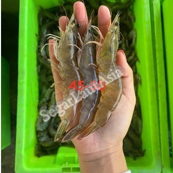 Udang Vaname Segar / Udang Vaname 1Kg / Udang Vaname 40-45 Ekor