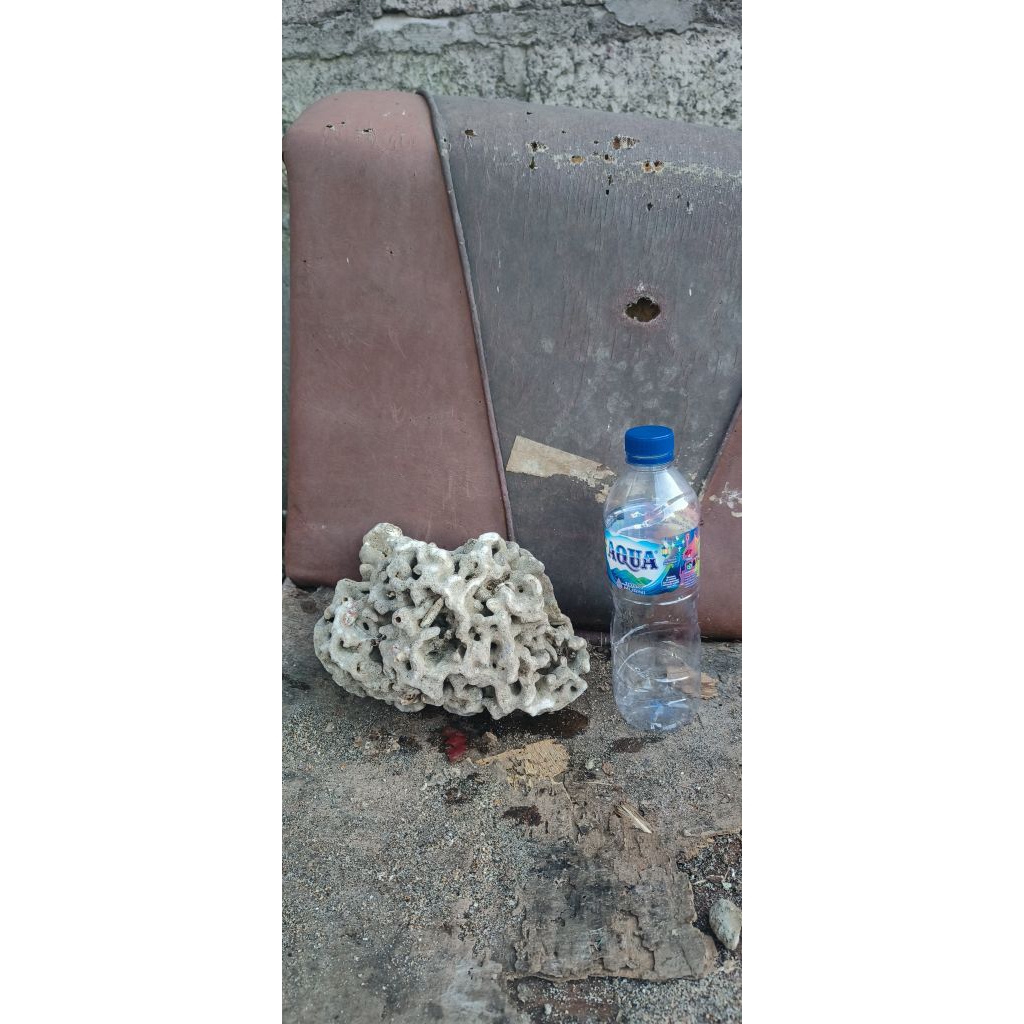 batu karang laut