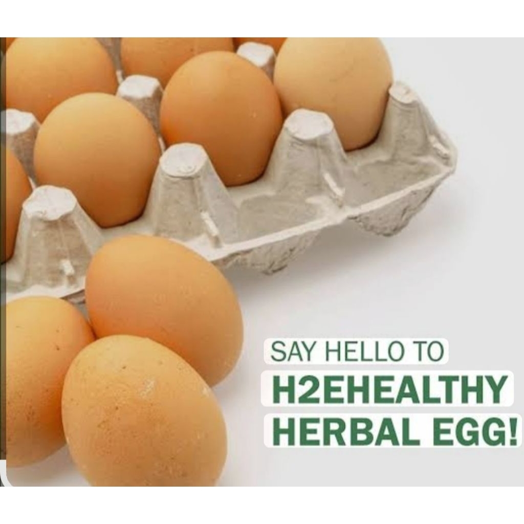telur ayam H2E ( herbal healthy egg)