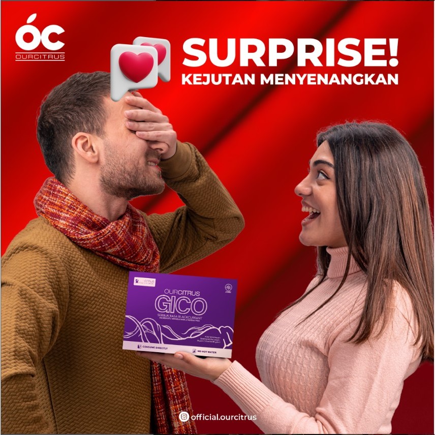 GICO Minuman Blackcurrant Isi 12 Sachet