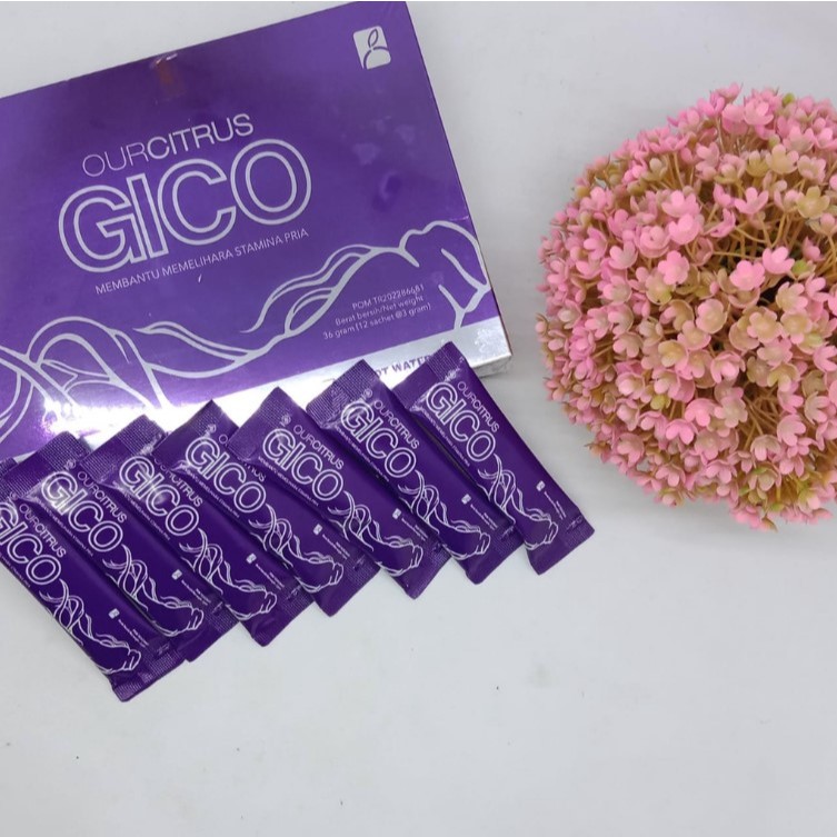 GICO Blackcurrant Drink Premium Original