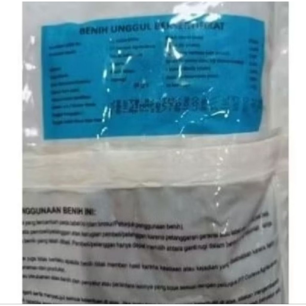 BENIH JAGUNG HIBRIDA PIONEER P 21 BYSON KEMASAN 1KG