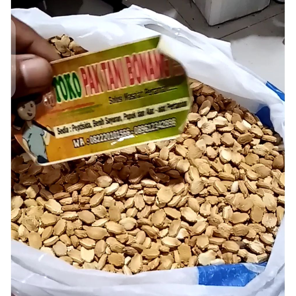 Benih Pare Pahit 1 Kg Bibit Pare Ayam Benih Pare 1 Kg