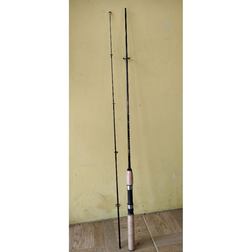 Joran Daiwa Jupiter 602FLS